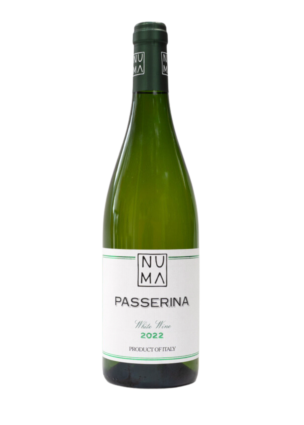 Passerina 2024
